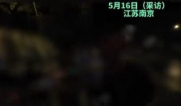 罗马内鬼爆料视频完整版,视频完整版揭露惊人内幕