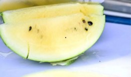 香港网红吃瓜图片高清,高清吃瓜瞬间揭秘