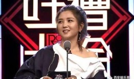 苏醒何洁爆料视频大全最新,揭秘娱乐圈不为人知的真相